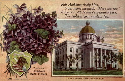 Alabama state flower and state capitol