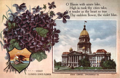 Illinois state flower and state capitol