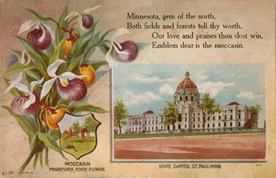 Minnesota state flower and state capitol
