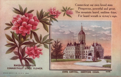 Connecticut state capitol and state flower
