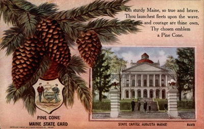 State capitol and state flower