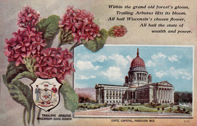 Go to What's On Top - Wisconsin